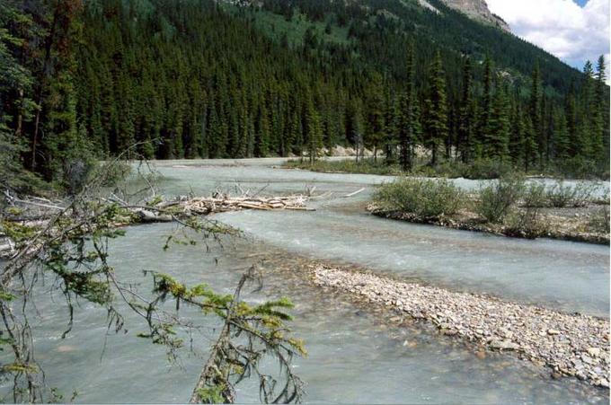 Looking back across the ford of Arctomys Creek