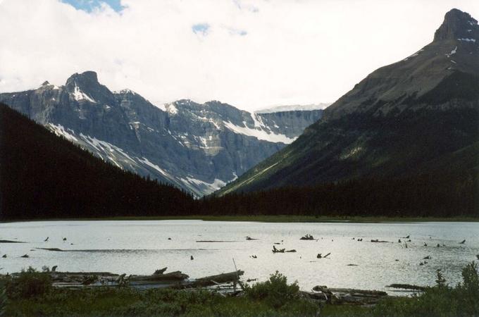 The lowest lake in the valley, Arctomys Peak (L) and Mount Lyell (C)