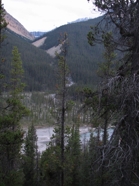 Our first view of Amery creek and the confluence (overexposed on the glacier) from the Alexandra river bike path.