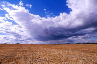 #1: The view west from the confluence.