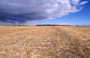 #3: The view east from the confluence.