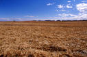 #4: The view south from the confluence.