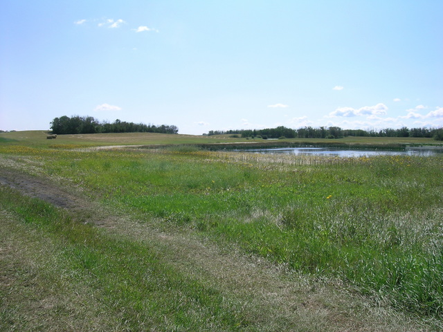 The confluence is just past the hay bales at the left of the photo.