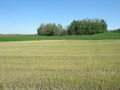 #2: Looking north from the confluence.