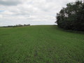 #2: 53N113W - Facing East