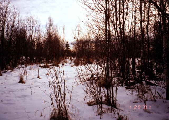 From the confluence, looking south.