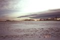 #5: Looking south across the hayfield; an Albertan winter sky at dusk.