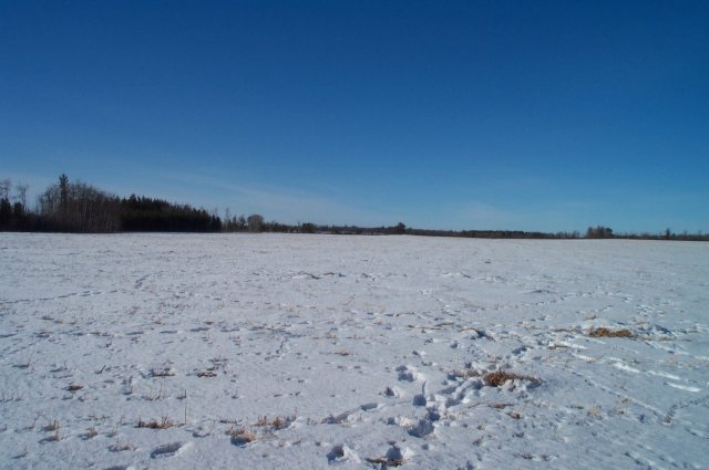 Looking west across the field towards the road.