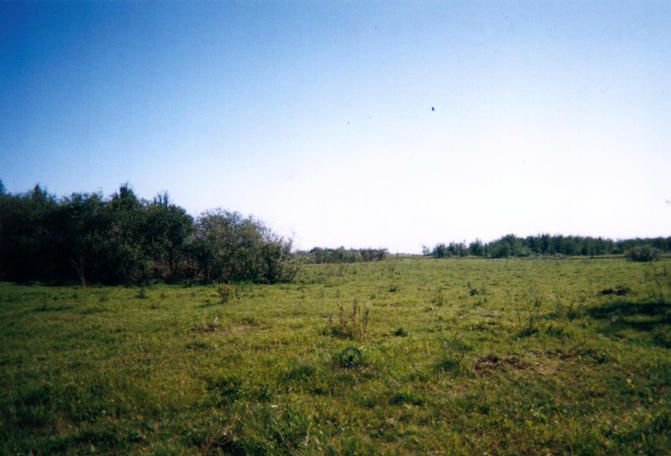 General view of the confluence with my GPS barely visible in the center foreground