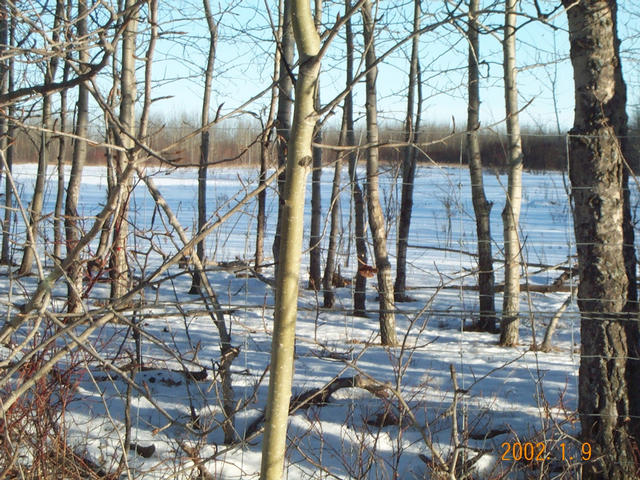 Looking (east) at the confluence.