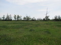 #3: 54N 114W - Facing South