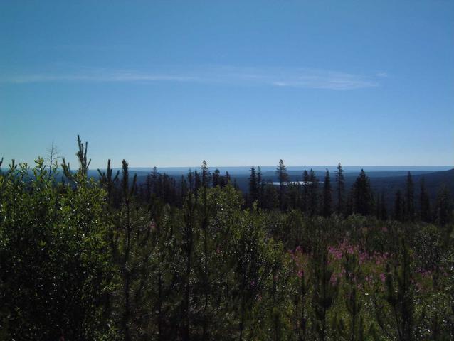 Looking towards Donald Lake and the Confluence