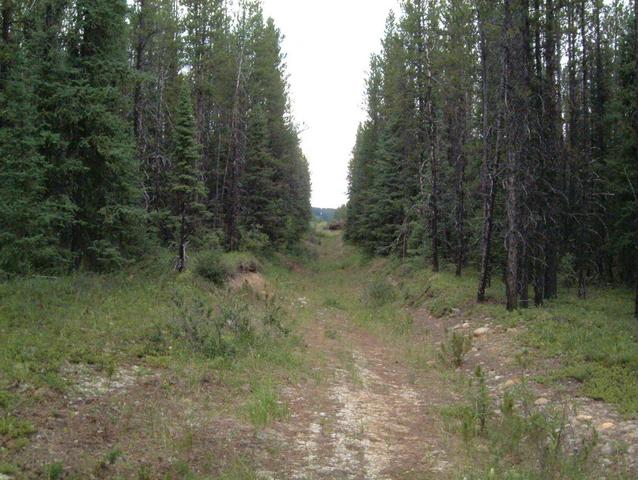 Cut Line located North/East of the Confluence