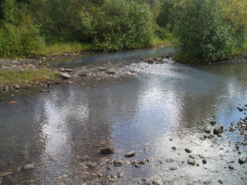 "Stinking Springs", a sulphurous spring fed creek