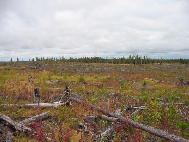 East view from point