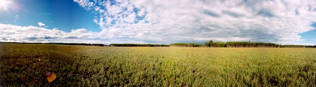 110 Degree Field of View Panoramic Looking North