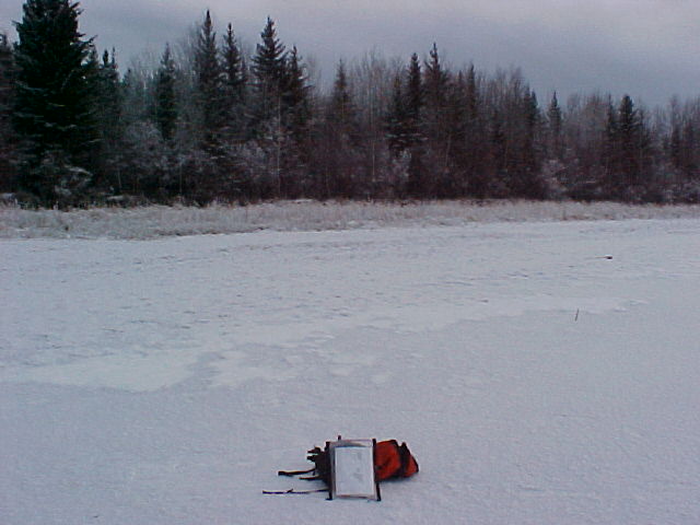 Looking South of the Confluence Point