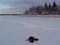 #5: Looking East of the Confluence Point