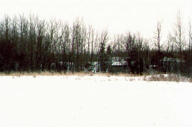 Looking southwest at the Butz place from the confluence.