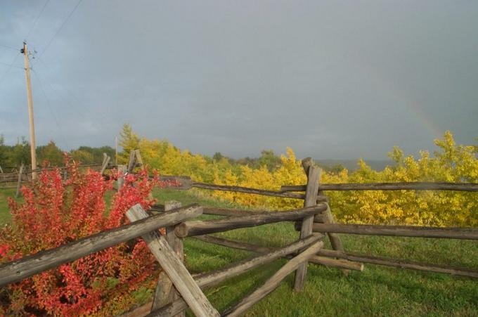 General area in the fall