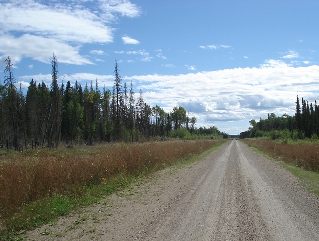 Landscape of the general area