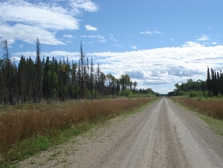 #1: Landscape of the general area