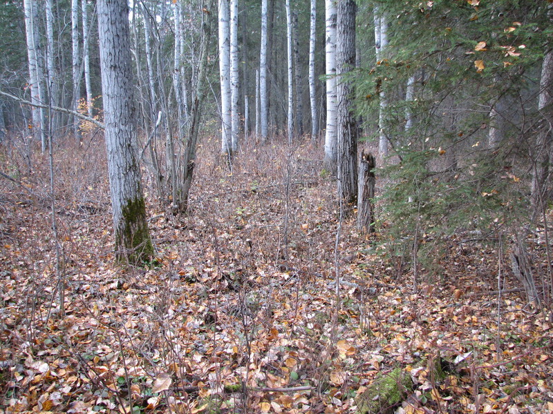 A view of the confluence area.