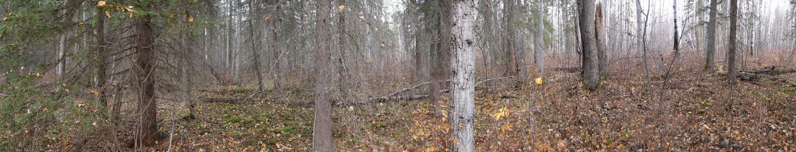 A 180 degree panorama with North East at the centre