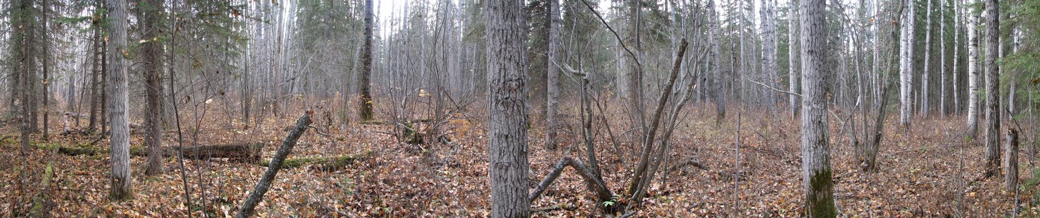 A 180 degree panorama with South West at the centre