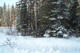 #1: Looking west towards confluence