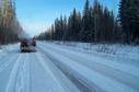 #3: Truck is 30 m east of confluence, view to the north