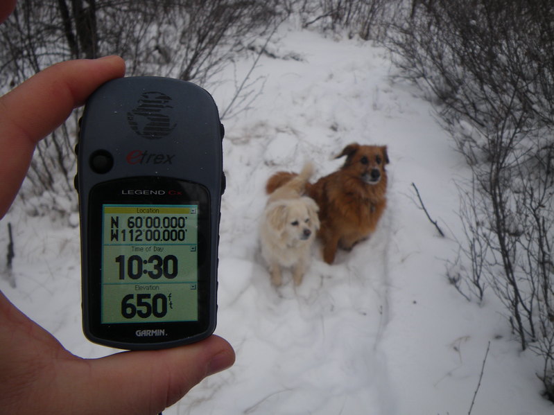 GPS along with Belle & Maggie enjoying their walk.