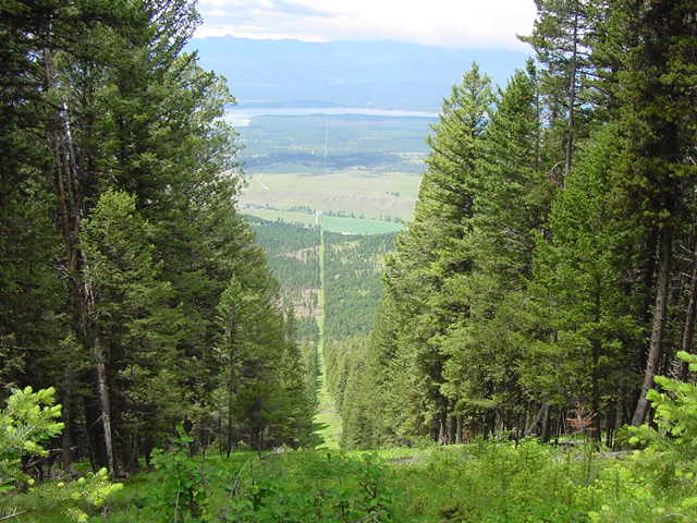 International boundary cut - Canada at right, USA at left,  Lake Koocanusa in distance