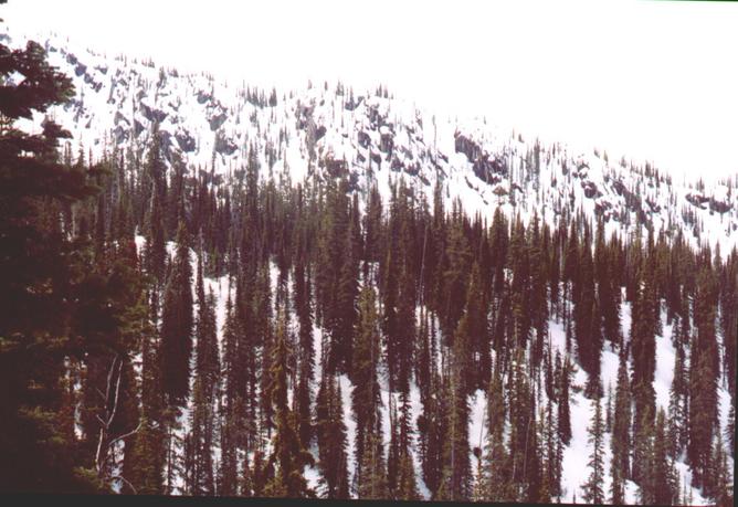 Looking south from confluence