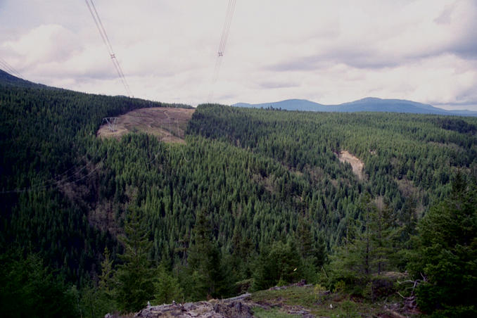 View across the ravine to the confluence