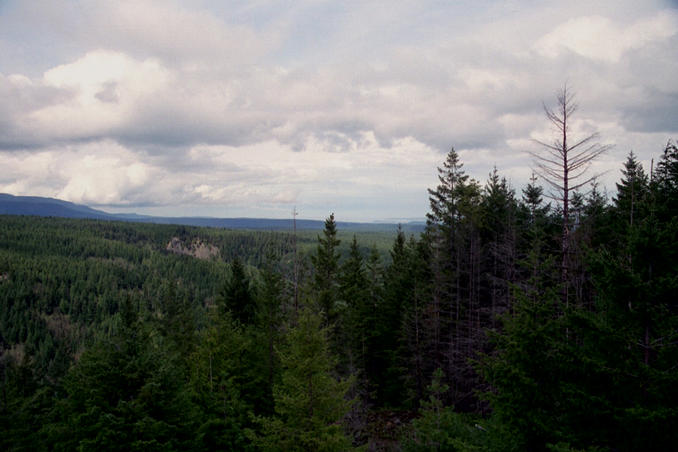 View down the ravine