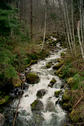 #2: Small creek on Haslam Main logging road