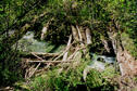 #2: Old wooden bridge across Haslam Creek