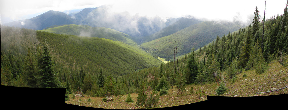 From near the ridge back down to the gully, showing the terrain.