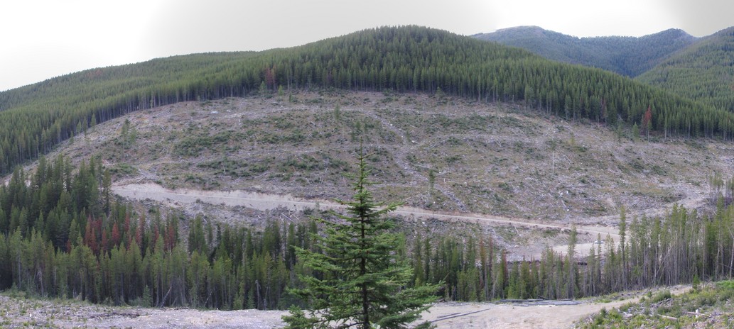 View north of the clear cut start of the hike, and parking lot.