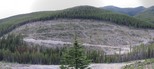 #7: View north of the clear cut start of the hike, and parking lot.