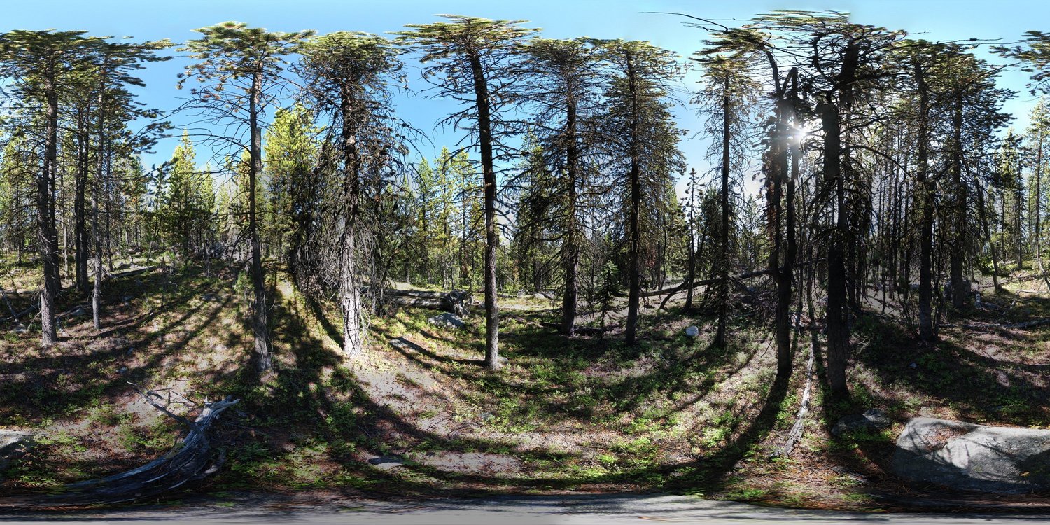 A full equirectangular panorama with South at the centre.