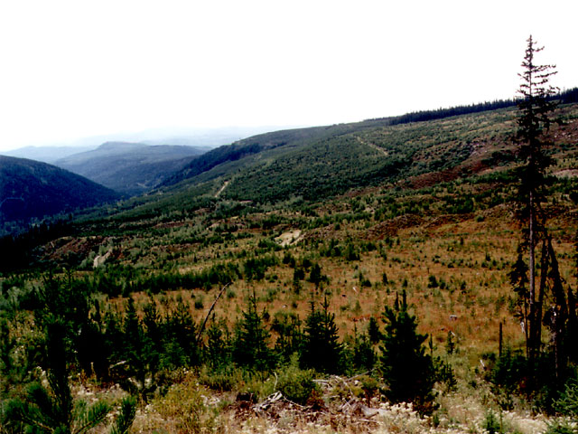 View to the SW towards the confluence