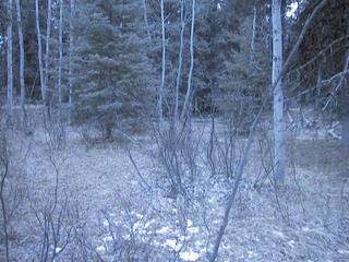 #1: Standing at Confluence Looking South