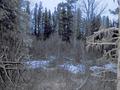 #6: Looking North East from the Confluence