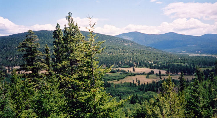 View from hilltop looking north