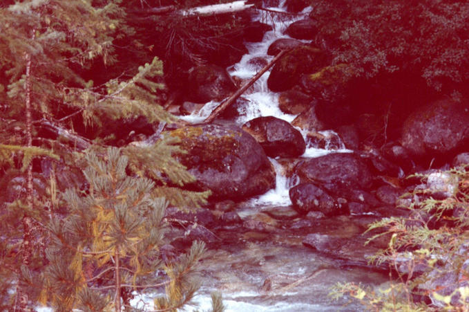 Creek flowing into Mehatl Creek