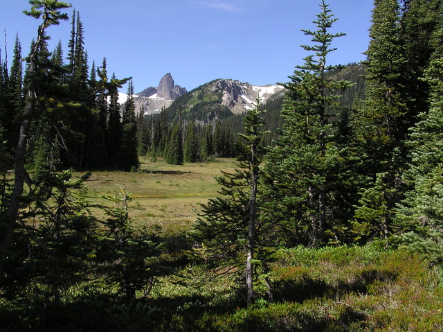 Confluence Site