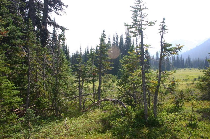 Looking SW from the confluence towards The Black Tusk