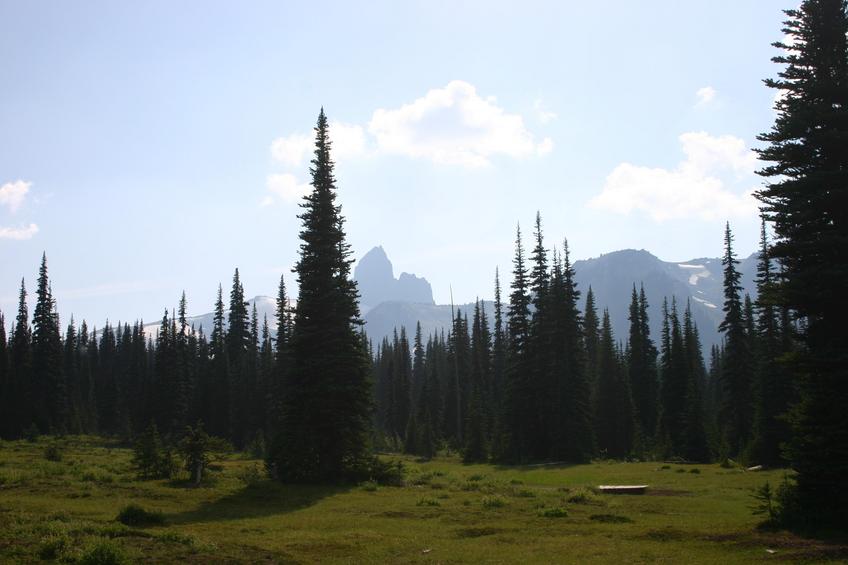 Helm Creek Wilderness Campground